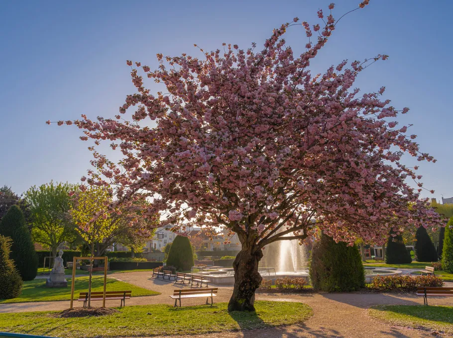 Asnières-sur-Seine 2